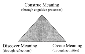 Figure 3. Primary Needs of Meaning
