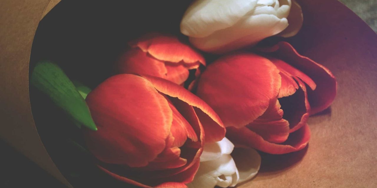 What Is The Meaning Of Love A Poem Dr Paul Wong