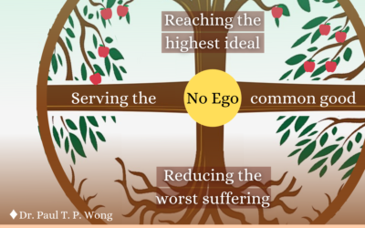 Meaning Conference Summit Symposium on From Suffering to Flourishing – Introduction